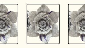 Read more about the article wall decor DIY: Make A Giant flower with Brochure Paper